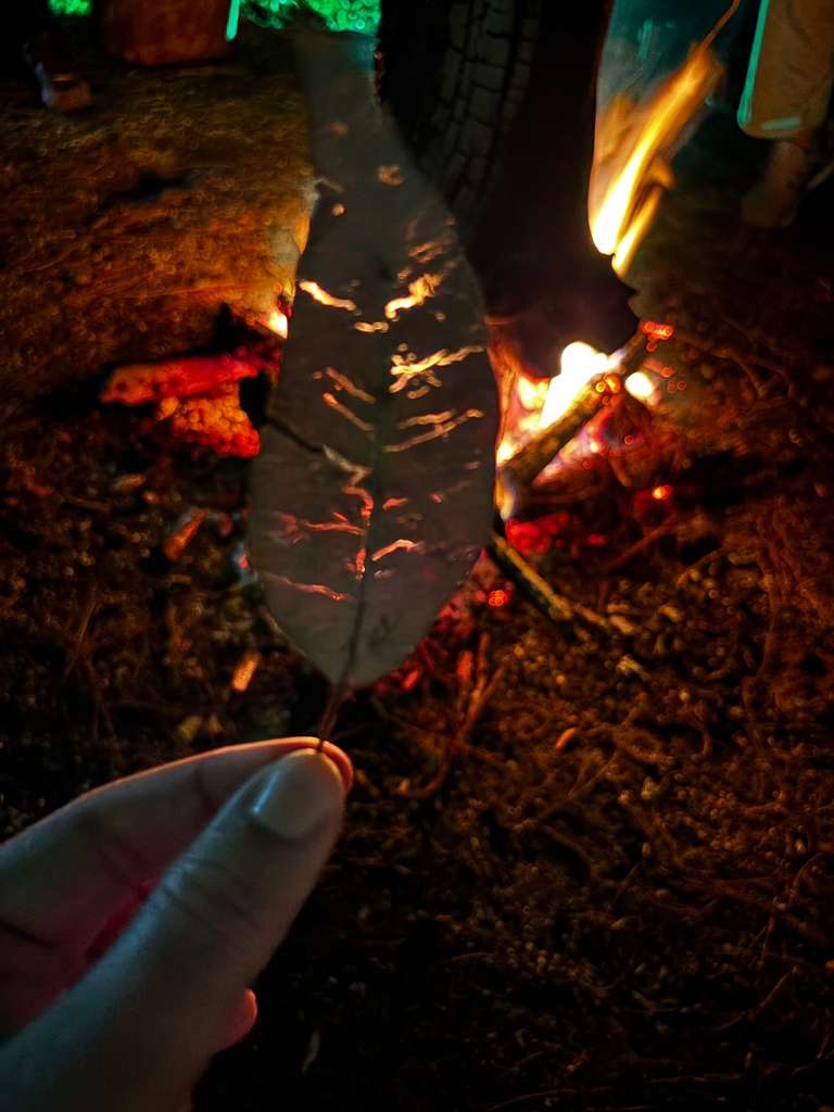 Firelight at the Elemental Writing retreat